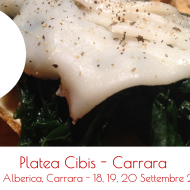 Street food Carrara: Platea Cibis 18, 19, 20 Set 2015